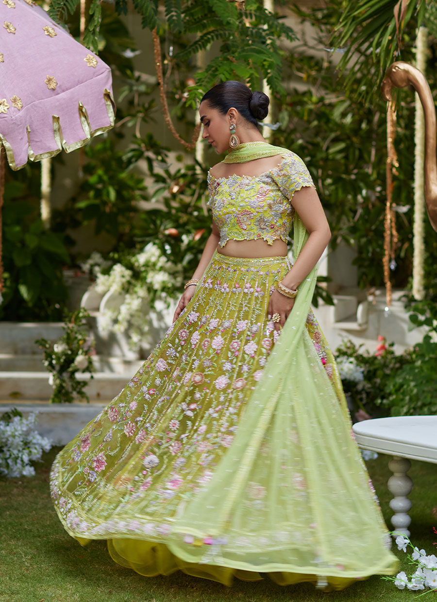 kiwi lengha choli