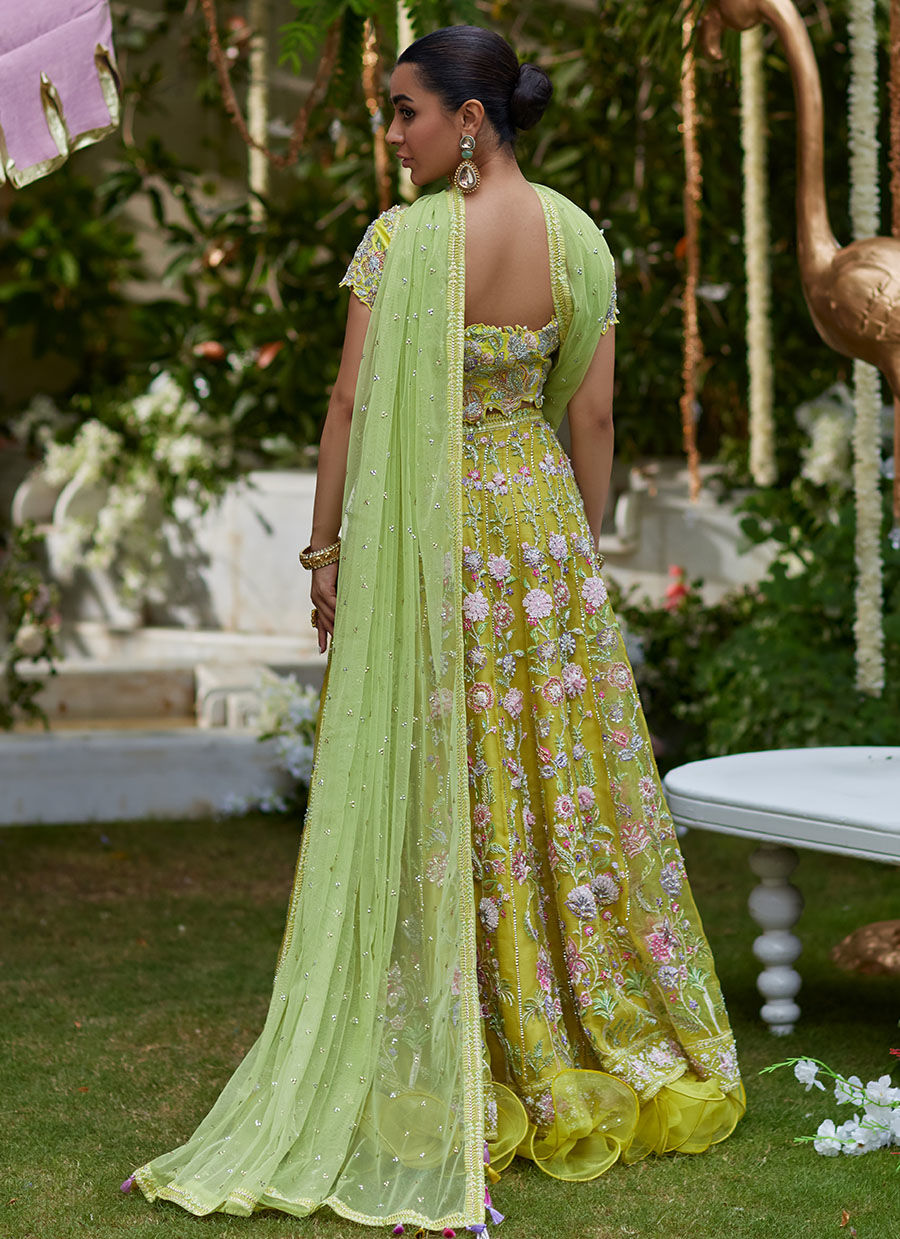 kiwi lengha choli