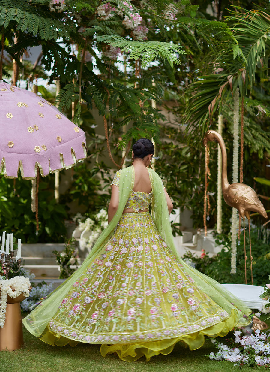 kiwi lengha choli