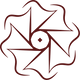 zayyan collection